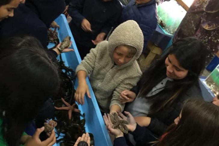 Esc. Gaspar Casbrales QLP1