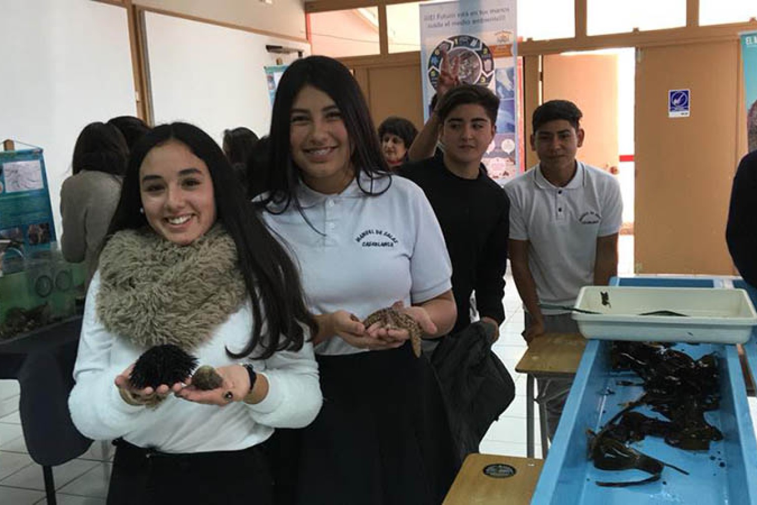 Liceo Manuel de Salas
