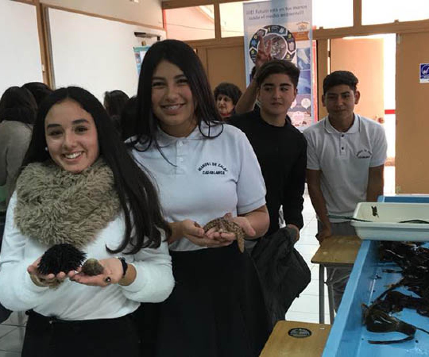 Liceo Manuel de Salas